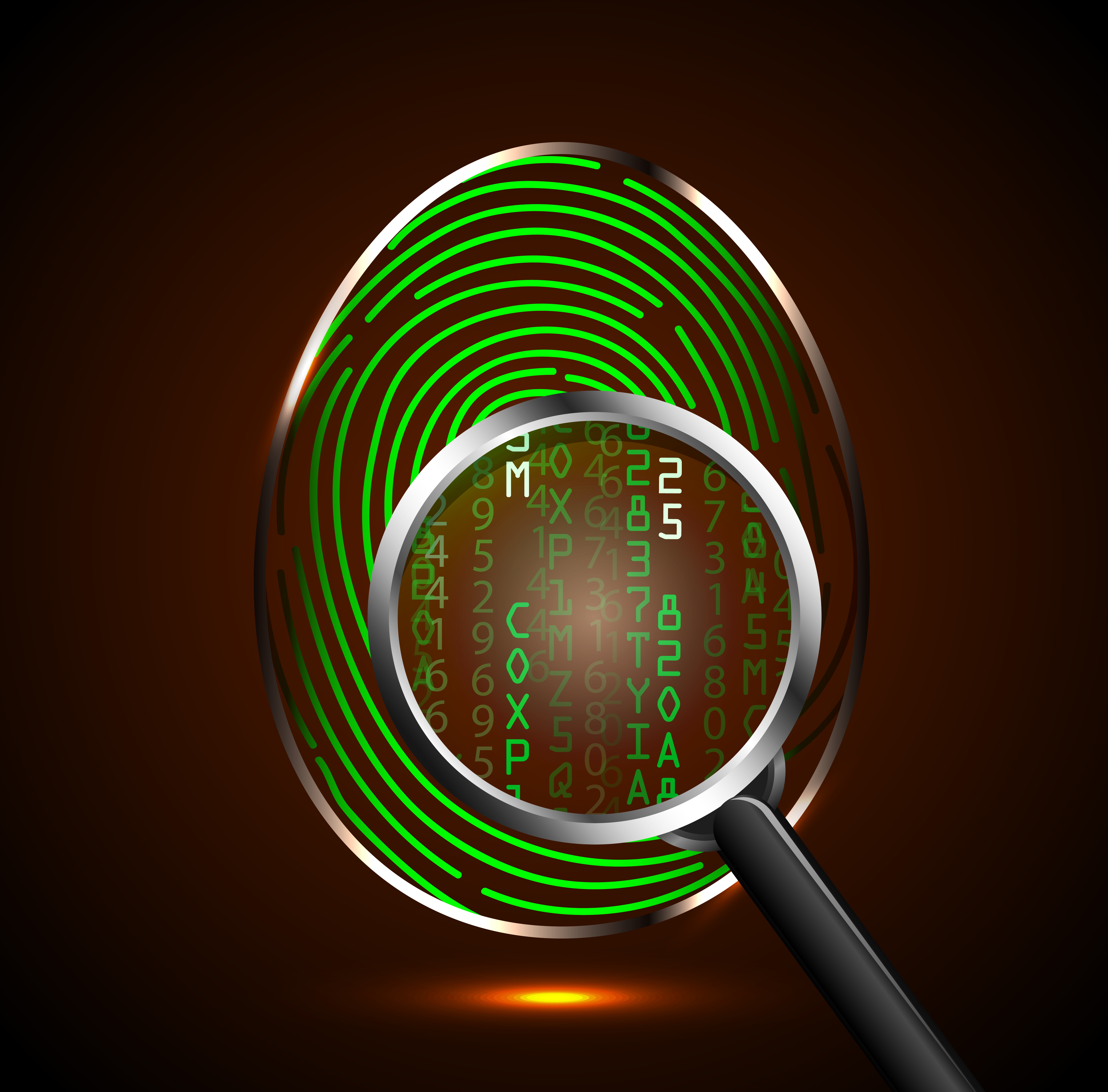 Forensic Investigation